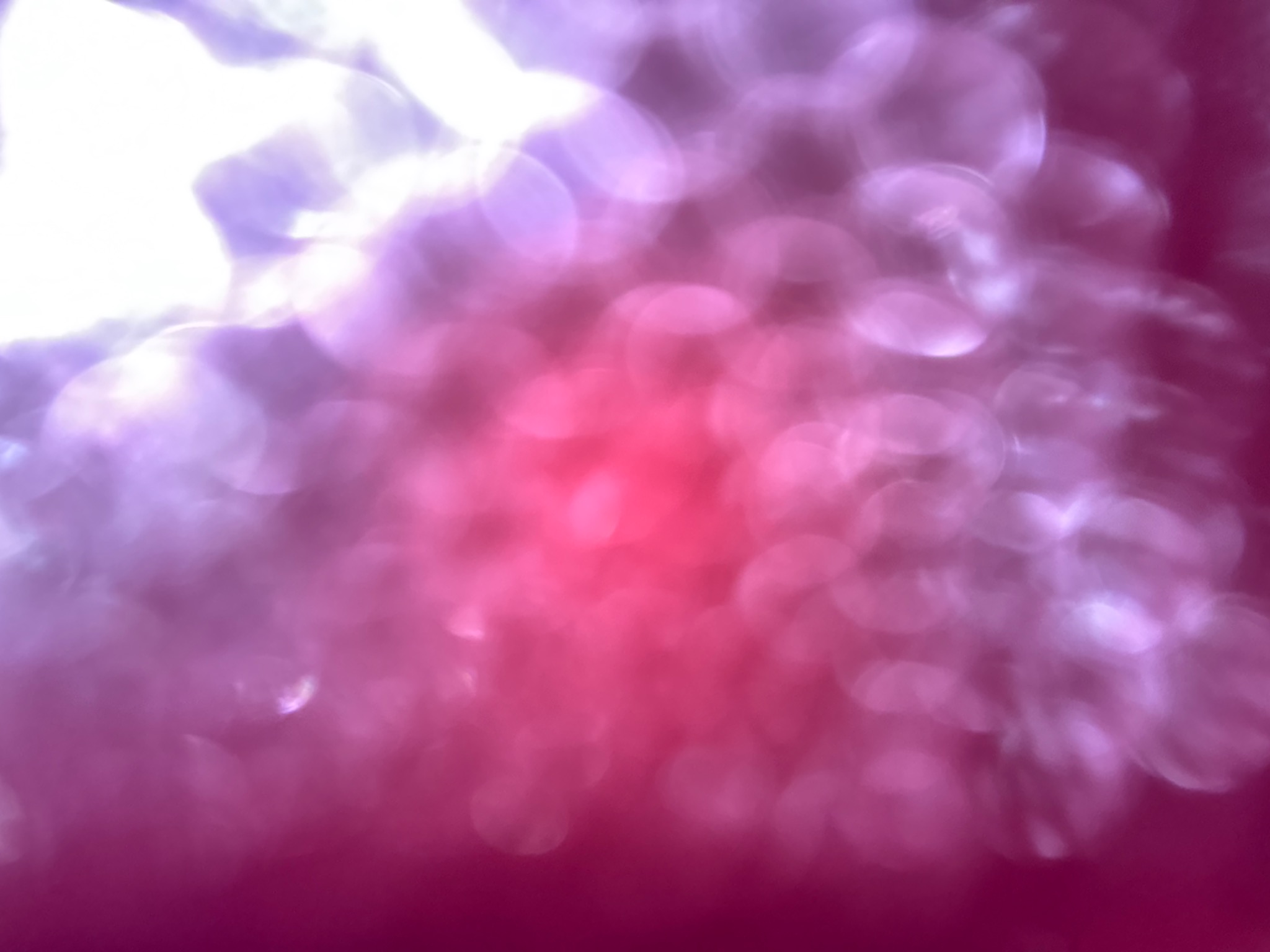 Purple and pink neon blur abstract background